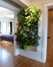 Мобильные системы для озеления Green Walls