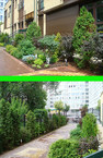 Ландшафтный дизайн в Москве
